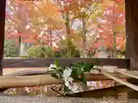 真正極楽寺(真如堂)の手水舎