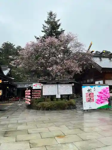 櫻木神社(千葉県)