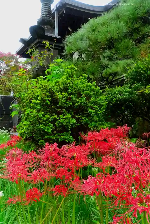 宝蔵院(東京都)