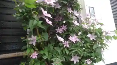 天龍寺(京都府)