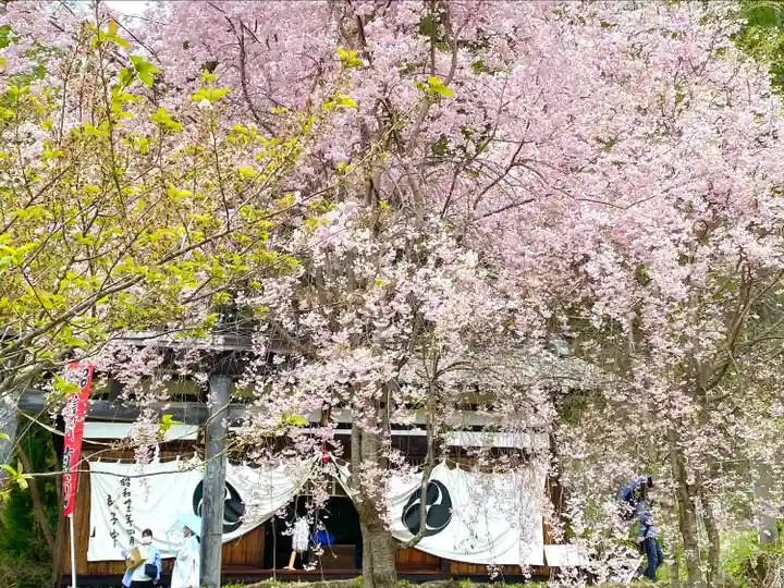 北赤井神社の自然