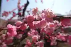 菅原天満宮（菅原神社）(奈良県)