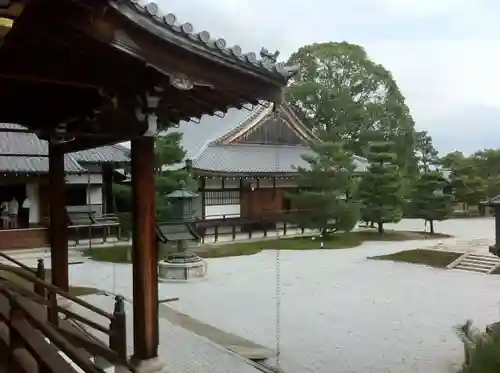 大覚寺の庭園