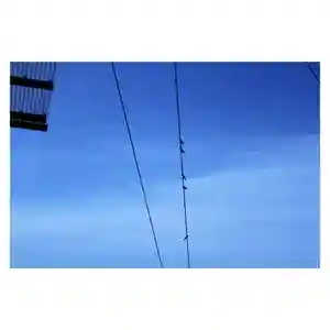 岐阜稲荷山本社(岐阜県)(2022年06月01日(水) 13時49分07秒投稿)