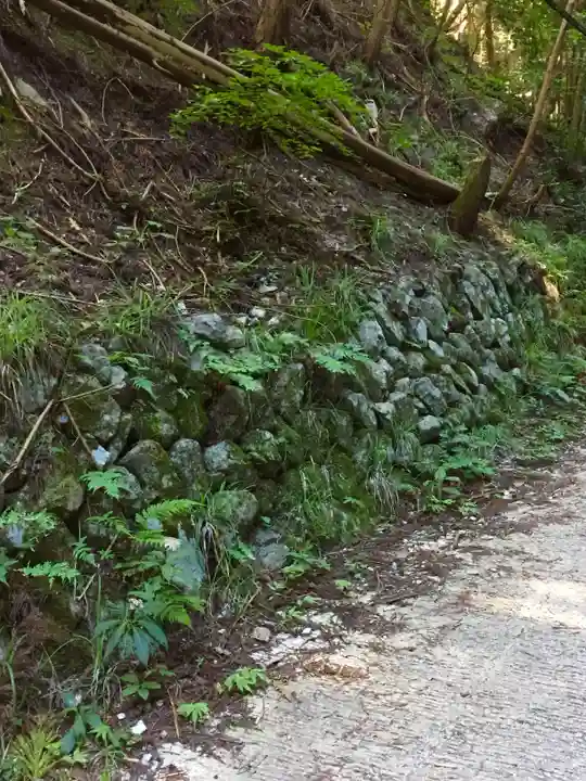 千早神社の自然