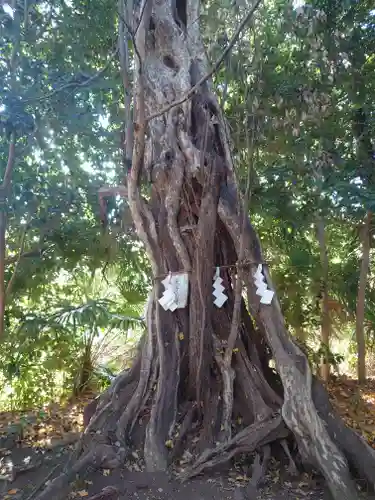 有鹿神社(神奈川県)
