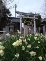 秋葉神社(愛知県)