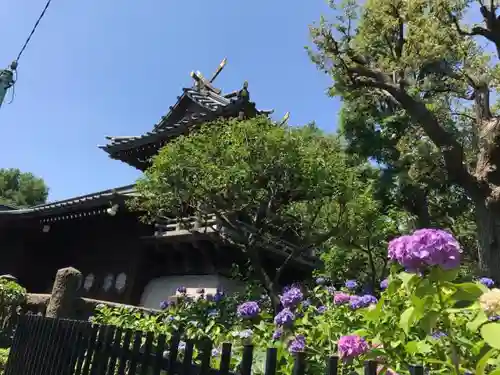 白山神社の建物その他