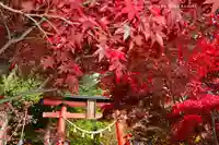 新倉富士浅間神社(山梨県)