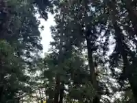 大宮温泉神社(栃木県)