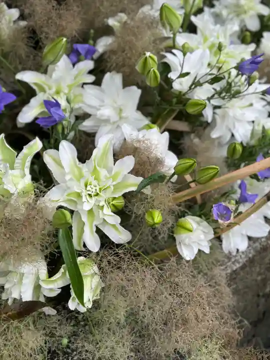 今宮神社(京都府)