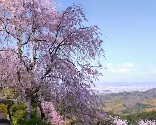 善峯寺(京都府)