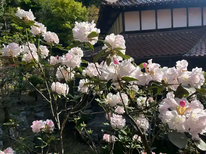 木舟山 順教寺(広島県)