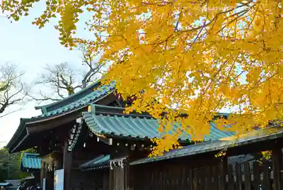 三嶋大社(静岡県)