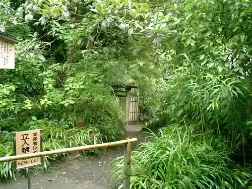 明月院の庭園