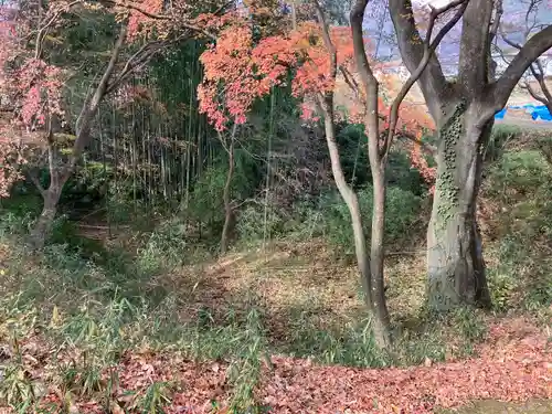 武田神社(山梨県)
