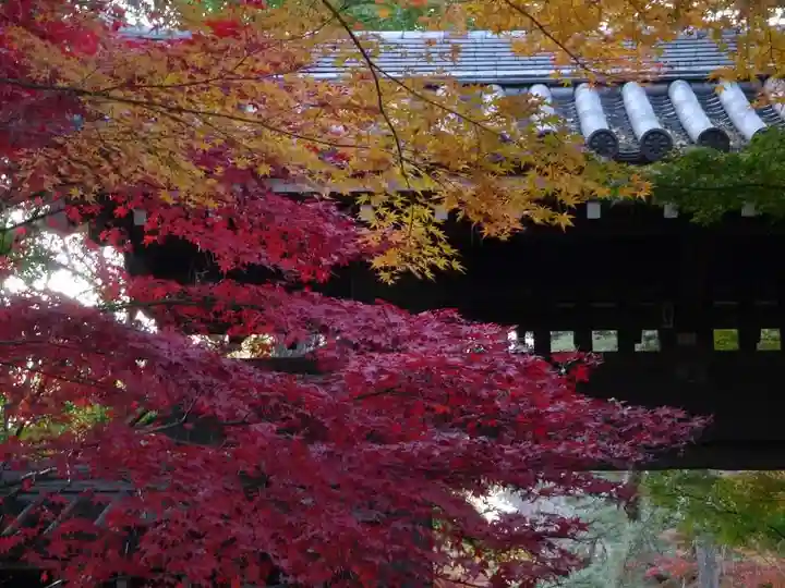 東漸寺のその他建物