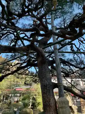 金蛇水神社(宮城県)