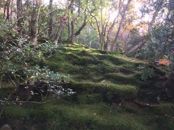 慈照寺(慈照禅寺・銀閣寺)のその他建物