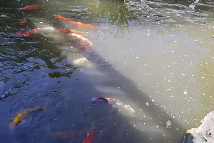東郷神社(東京都)