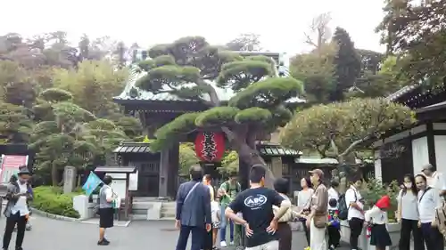 長谷寺の山門