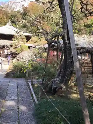瑞泉寺のその他建物