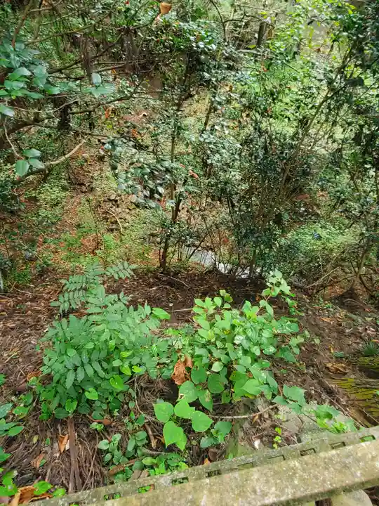 諏訪神社/文殊堂の自然