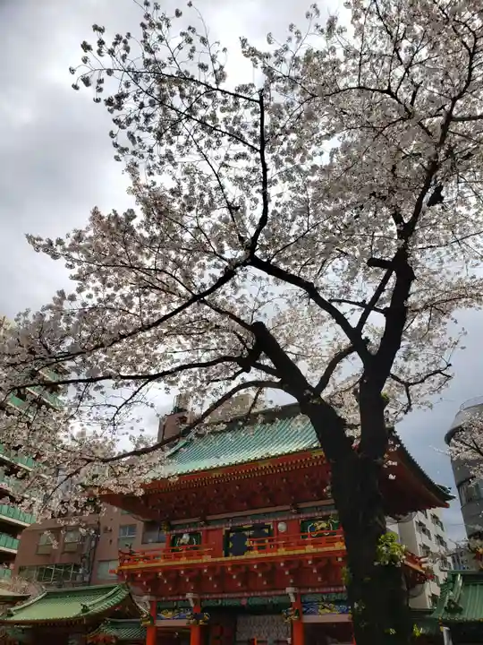 神田神社(神田明神)の自然
