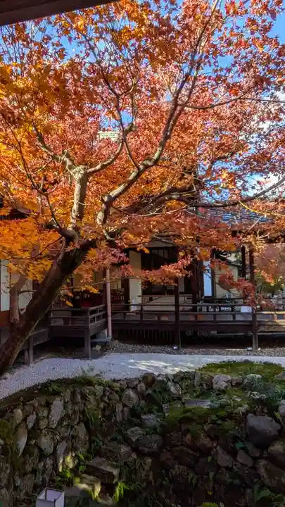 興聖寺(京都府)