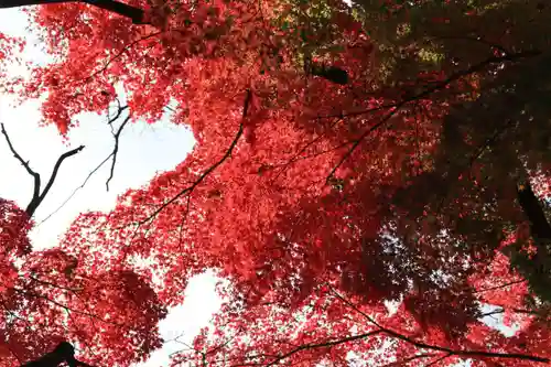 神炊館神社 ⁂奥州須賀川総鎮守⁂の庭園