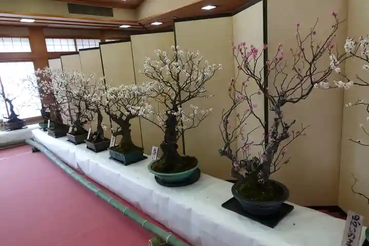 菅原天満宮(菅原神社)(奈良県)