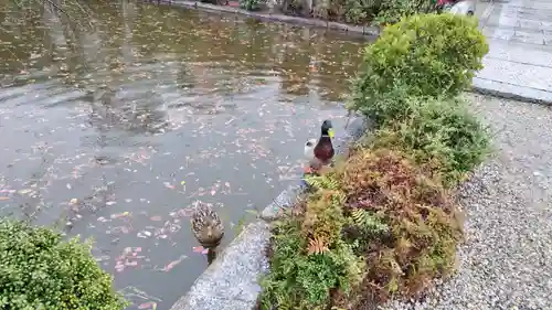 神泉苑(京都府)