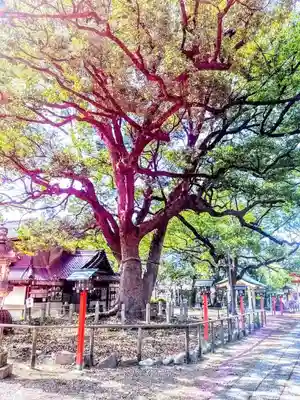 鳴海八幡宮のその他建物