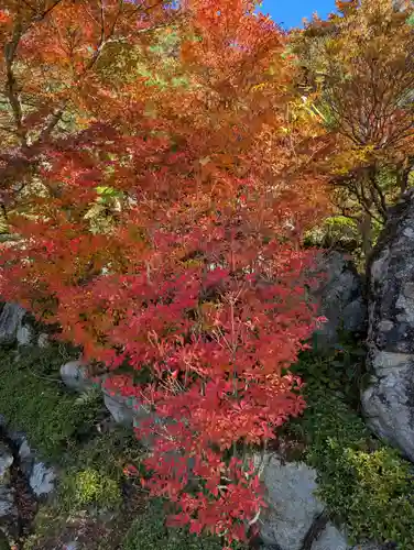 百済寺(滋賀県)