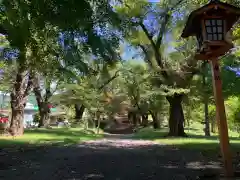 新倉富士浅間神社の建物その他