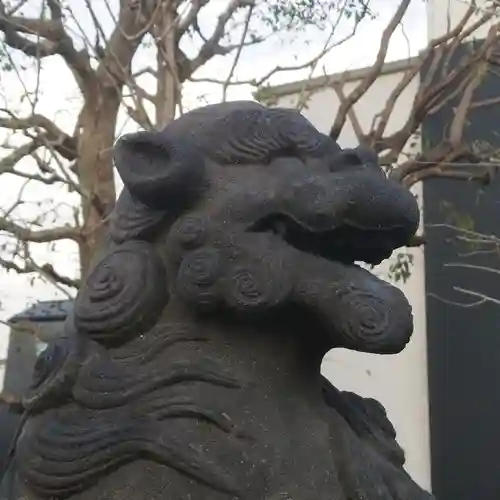 白髭神社の狛犬