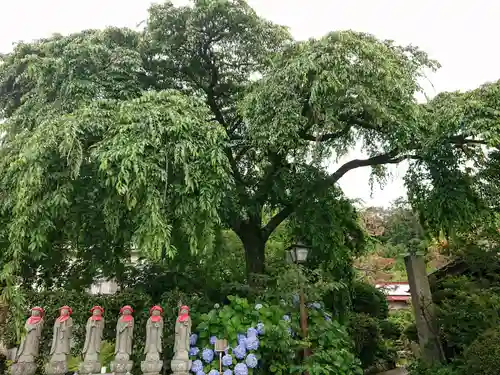 龍泉寺の地蔵