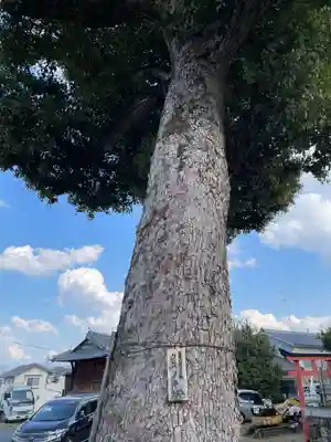 三宮神社御旅所(京都府)