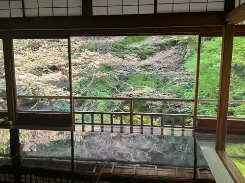 光明寺瑠璃光院(京都府)