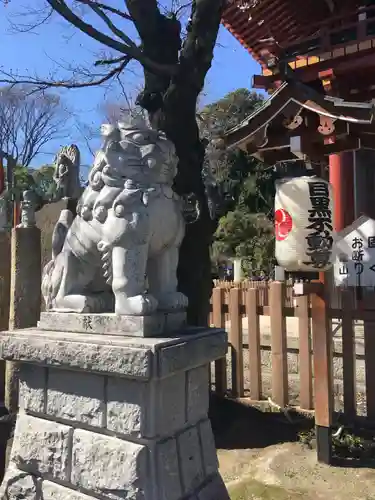 瀧泉寺（目黒不動尊）の狛犬