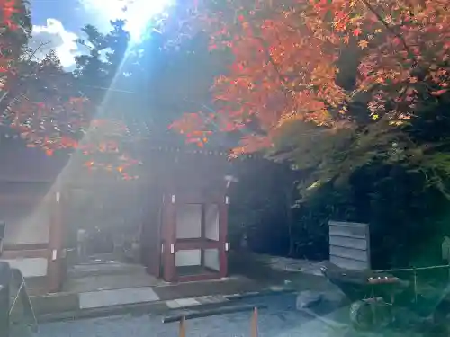 神峯山寺(大阪府)