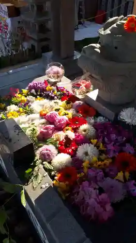 新川皇大神社の手水