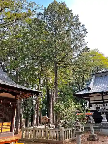 弓削神社の自然