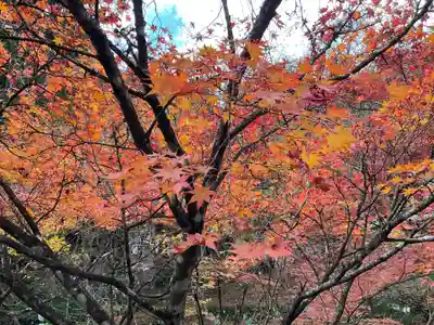 大洞院(静岡県)