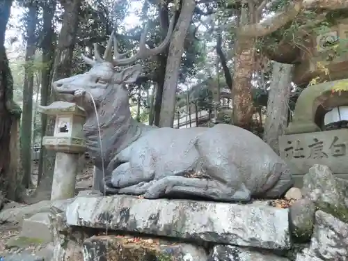 春日大社の狛犬