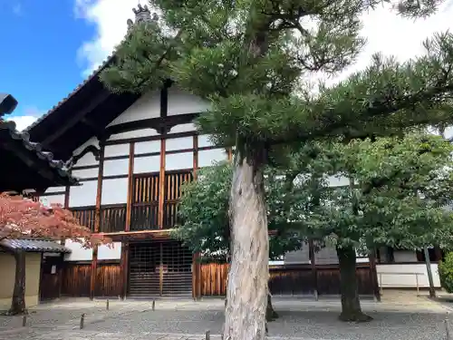 大徳寺(京都府)