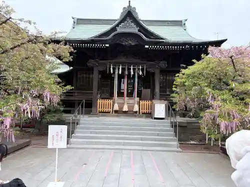 桜神宮の{uncategorized: "未分類", other: "その他", undefined: "問題あり", building: "その他建物", grave: "お墓", sacred_gate: "鳥居", guardian: "狛犬", statue: "像", buddha: "仏像", history: "歴史", nature: "自然", garden: "庭園", animal: "動物", pagoda: "塔", temizu: "手水舎", mountain_gate: "山門・神門", sanctuary: "本殿・本堂", subordinate: "末社・摂社", art: "芸術", scenery: "景色", jizo: "地蔵", ema: "絵馬", goshuin: "御朱印", omikuji: "おみくじ", items: "授与品その他", amulet: "お守り", goshuincho: "御朱印帳", eats: "食事", festival: "お祭り", votive_dance: "神楽", shichigosan: "七五三参", wedding: "結婚式", experience: "体験その他", initially: "初詣", around: "周辺", anti_infection: "感染症対策"}