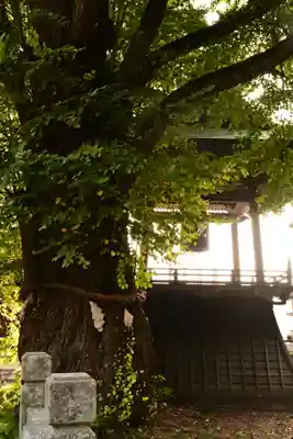 北向観音(長野県)