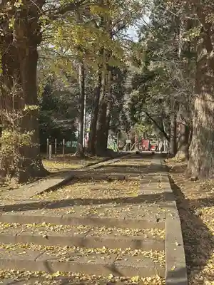三芳野神社(埼玉県)