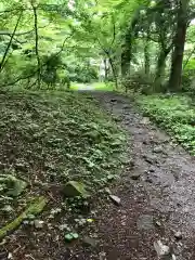 大神山神社奥宮の自然